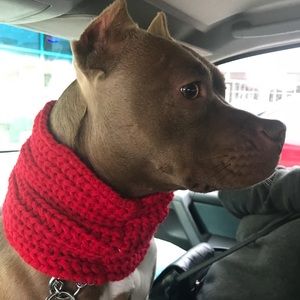 Meet your Posher, Cody